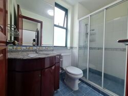Dmanor (D16), Terrace #577097671